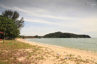 IMG_0239.jpg