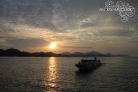 IMG_4561.jpg