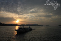 IMG_4562.jpg