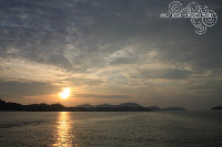 IMG_4564.jpg