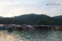 IMG_4574.jpg