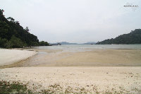 IMG_6469.jpg