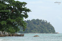 IMG_6543.jpg