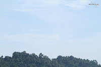 IMG_6608.jpg