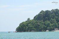 IMG_6642.jpg