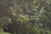 IMG_8351.jpg