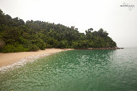 IMG_8730.jpg