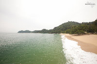 IMG_8736.jpg
