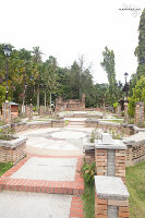 IMG_8742.jpg
