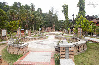 IMG_8743.jpg