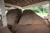 IMG_8768.jpg