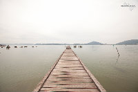 IMG_8780.jpg