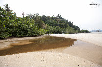 IMG_8791.jpg