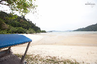 IMG_8793.jpg