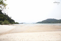 IMG_8794.jpg