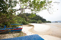 IMG_8795.jpg