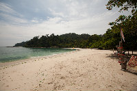 IMG_8805.jpg