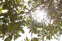 IMG_8809.jpg