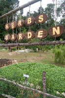 IMG_9552.jpg