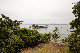 IMG_8776.jpg