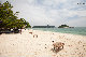IMG_8815.jpg