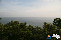 IMG_4284.jpg