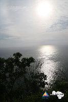 IMG_4286.jpg