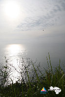 IMG_4289.jpg