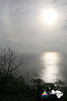 IMG_4298.jpg
