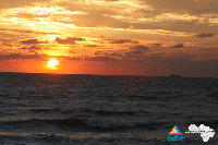 IMG_4394.jpg