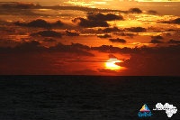 IMG_4398.jpg
