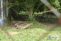 _MG_4139.jpg