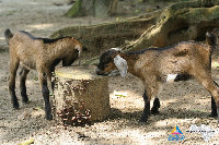 _MG_4243.jpg