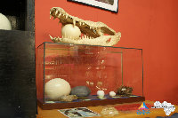 _MG_4302.jpg