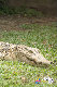 _MG_4140.jpg