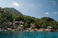 IMG_1232.jpg