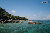 IMG_1233.jpg