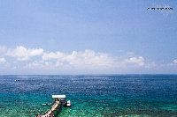IMG_8436.jpg