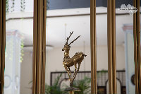IMG_9626.jpg