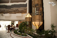 IMG_9638.jpg