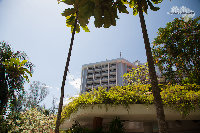 IMG_9658.jpg