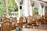 IMG_9790.jpg