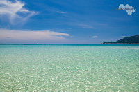 IMG_1433.jpg