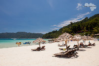 IMG_1465.jpg