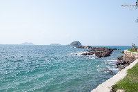 IMG_3728.jpg