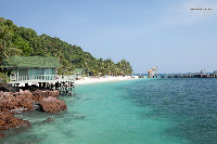 IMG_3750.jpg