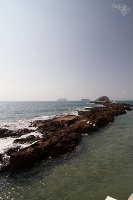 IMG_7050.jpg