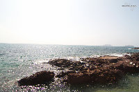 IMG_7051.jpg