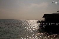 IMG_7079.jpg