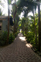 IMG_7083.jpg